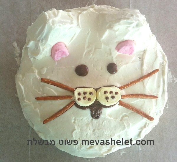עוגת יום הולדת בצורת פרצוף של חתול cat face birthday cake