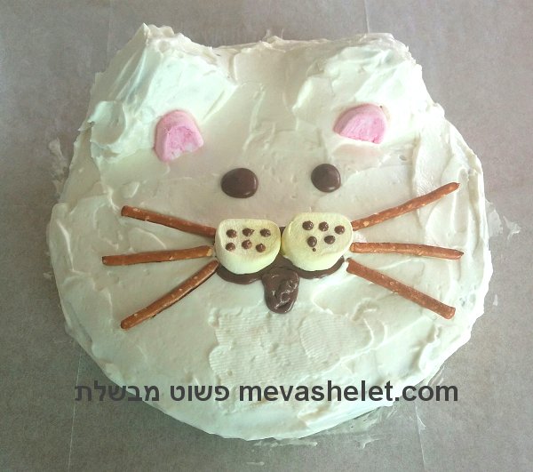 עוגת יום הולדת בצורת פרצוף של חתול cat face birthday cake